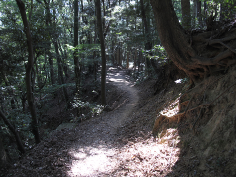 20140922hike (327)